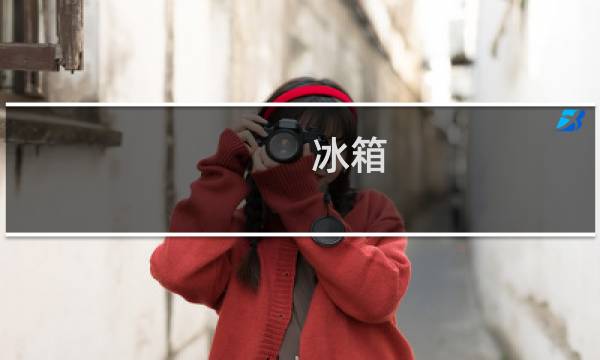 冰箱 清洗 - 冰箱清洗干净